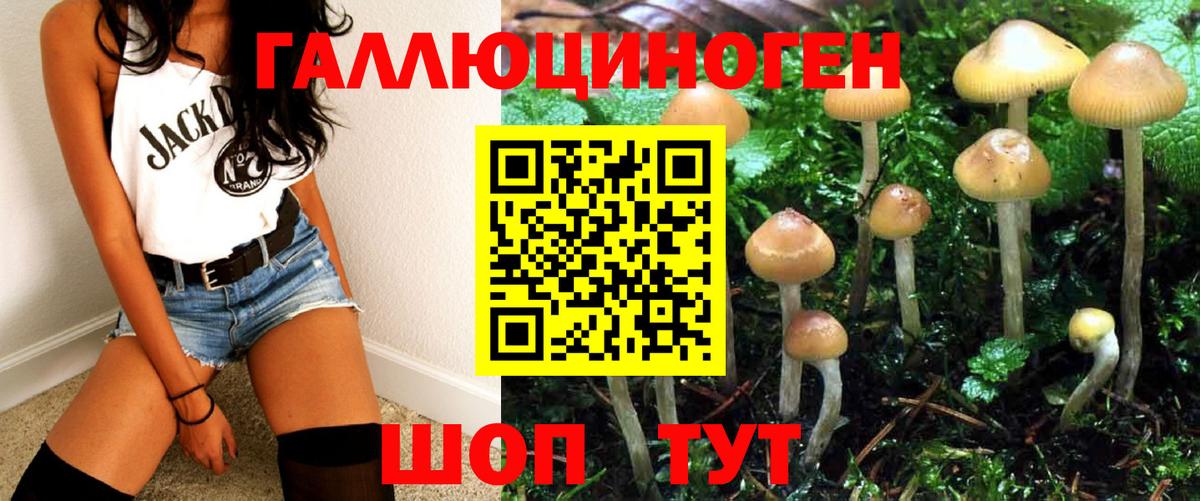 Галлюциногенные грибы Psilocybine cubensis Красноармейск